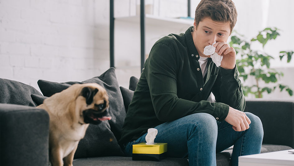 Installing an air purifier is one of the best ways to boost your home’s indoor air quality. Find out more about the three smartest options. 